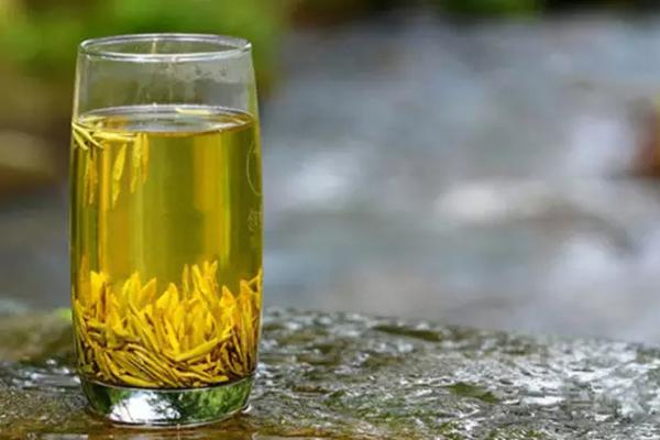 绿茶的“留根泡”是什么？
