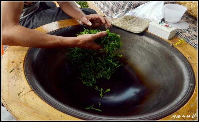 蒸青绿茶工艺类型及制造工序方法