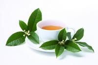 秋梨白藕茶作用及功效