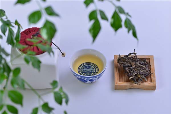 古树红茶也是滇红茶？如何区分古树红茶呢？