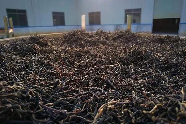 晒红是怎样制成的？一篇文章读懂晒红茶的制作过程