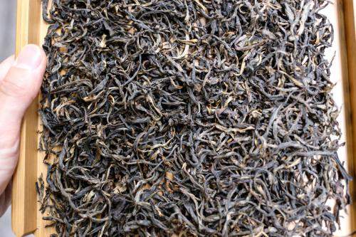 滇红茶的生产与制造介绍