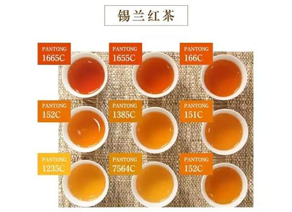 一篇文章读懂全球红茶的知识（权威推荐）