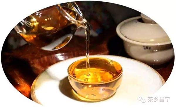 古树红茶的鉴别：什么是野生古茶树？千年古茶树的特点