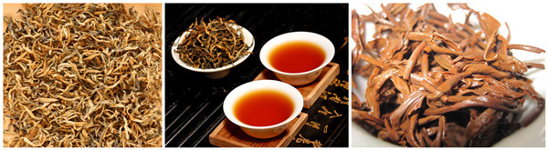 什么是滇红功夫茶？