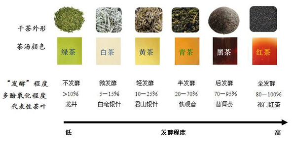 详解红茶工艺流程：红茶发酵的原理是什么？