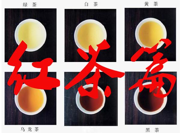 六大茶类之红茶基础知识大全