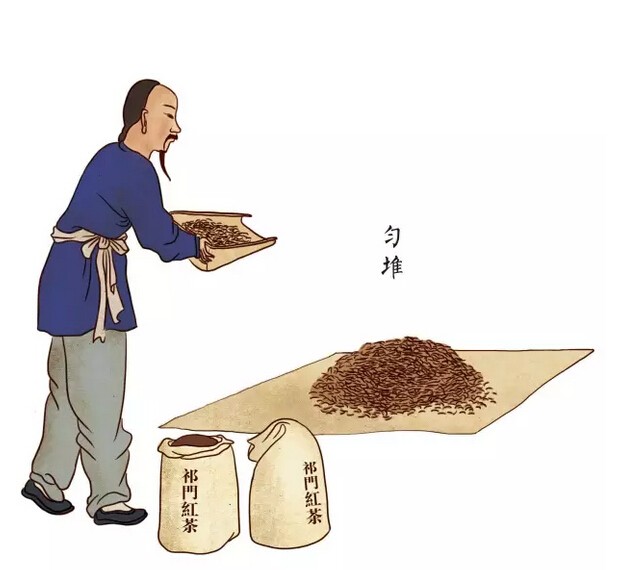 祁门红茶传统手工制作流程图（下）