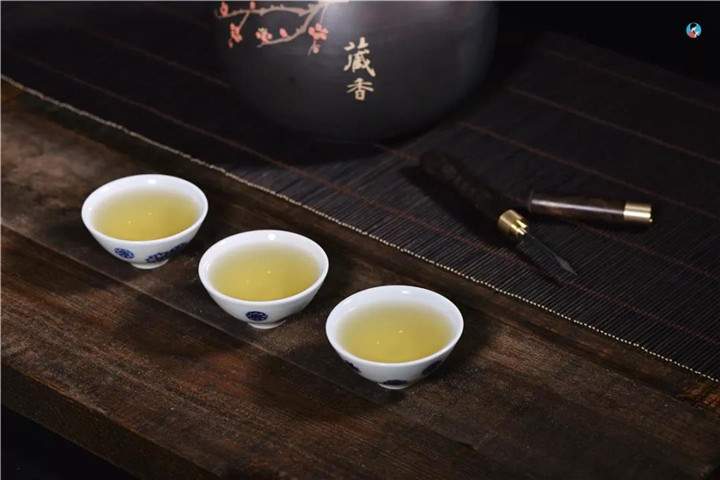 选择普洱古树茶的五个理由