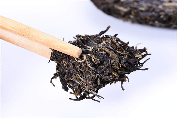 制作普洱茶的鲜叶有什么与众不同的特点？