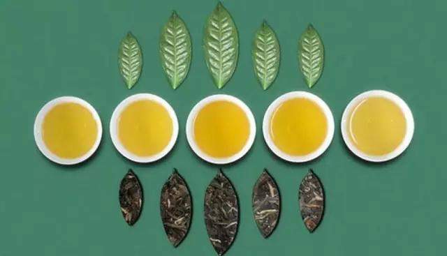绿茶减肥好还是普洱茶减肥好?
