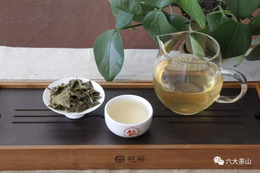 阮殿蓉说茶：普洱茶与健康