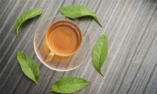 喝普洱茶保持年轻的原因