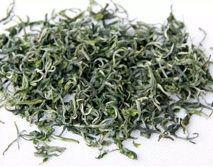 普洱茶“滇青”和“滇绿”的两种不同工艺