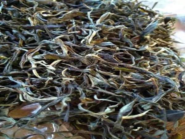 普洱茶收藏的熟与香