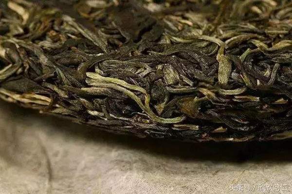 普洱茶的九种山寨版本，喜欢普洱茶的一定要看