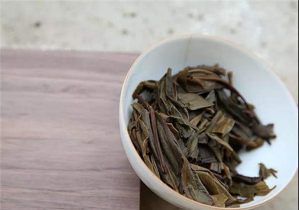 为什么普洱茶大多印着古树纯料？真相是？