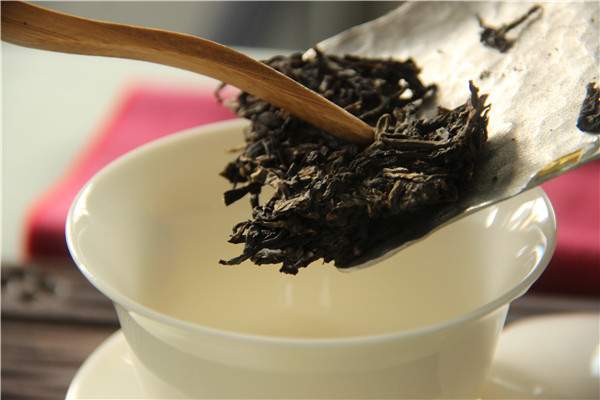 普洱茶初制过程中揉捻对后期转化的影响大吗？