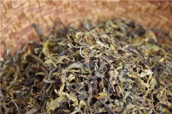 普洱茶中的古树黄片是什么？