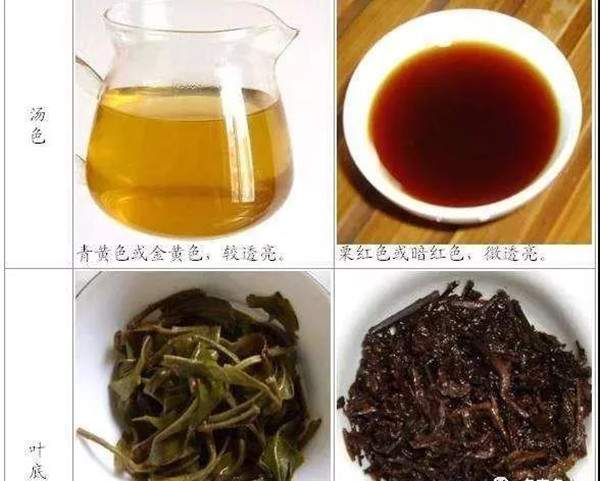 普洱茶能喝的“保健品”！