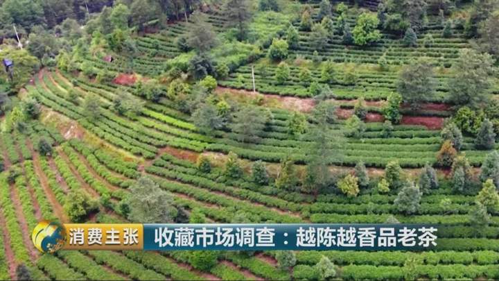 CCTV财经频道报道：受人追捧的山头普洱茶有何过人之处？