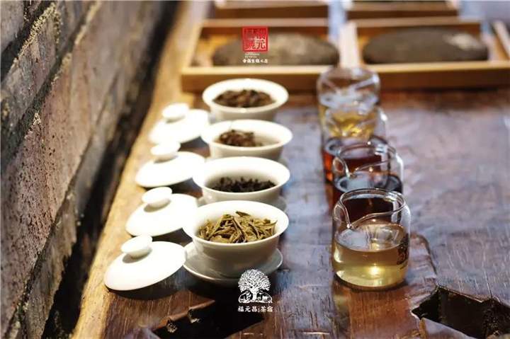 福元昌三天两晚贺开茶山游：普洱茶朝圣之旅，带您解锁古树茶的秘密！