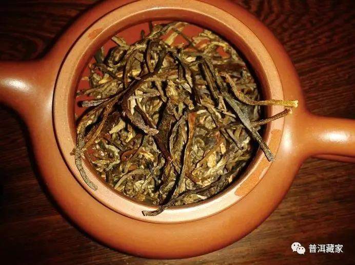 普洱老茶讲堂：2000年班章橡筋茶，勐海茶厂出品大白菜系列巅峰之作