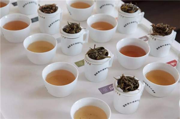 这八个字是提高普洱茶品鉴精髓：怎么提高喝茶品鉴能力？
