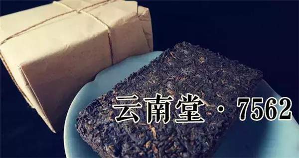 从“云南堂”7562看熟普洱茶发酵度的变迁