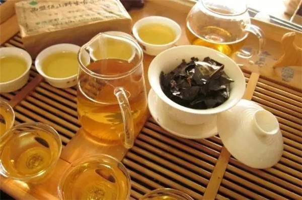 普洱茶中，古树茶究竟价值几何？