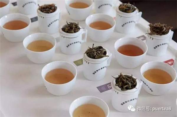 看了这八大因素，你还会轻易说普洱茶的耐泡性吗？
