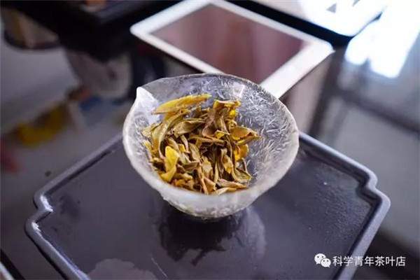 普洱茶的鉴别：如何快速判断一款普洱生茶好坏？