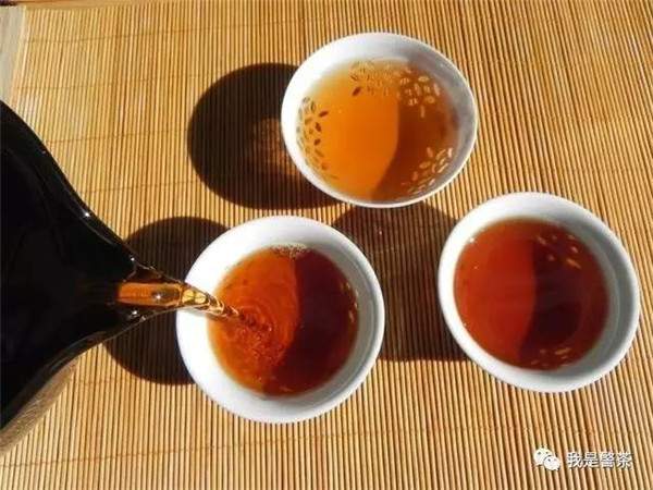如何鉴别普洱乔木古树茶和台地茶？