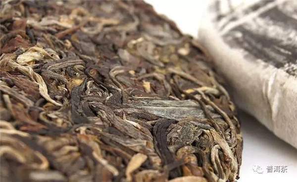 新手学普洱茶：如何鉴别古树茶？叶大叶厚就是古树茶吗？