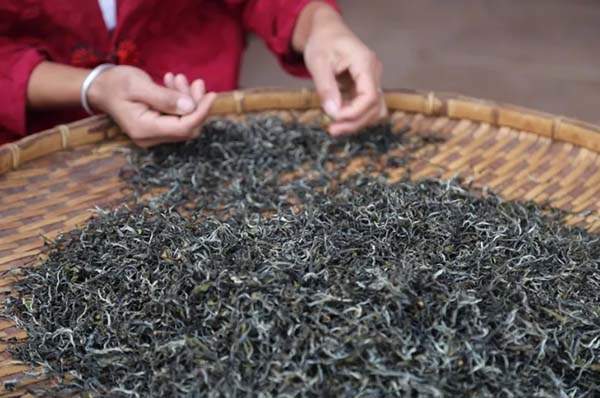 普洱生茶和熟茶的区别：在制作工艺上有何不同？