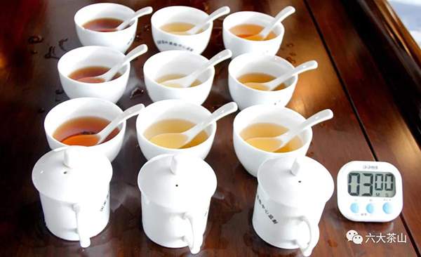 如何品茶、鉴茶、选茶？普洱茶的年份鉴别及选购普洱茶的注意事项