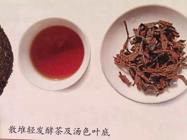 杨中跃专栏｜轻发酵茶普洱茶口感怎么样，有什么特征？
