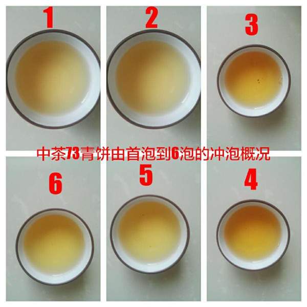 茶友专栏：品鉴2014中茶“七三青饼”普洱生茶