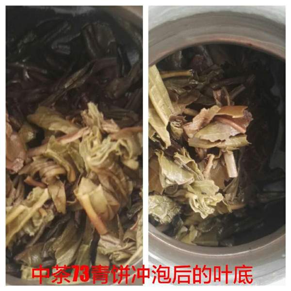 茶友专栏：品鉴2014中茶“七三青饼”普洱生茶