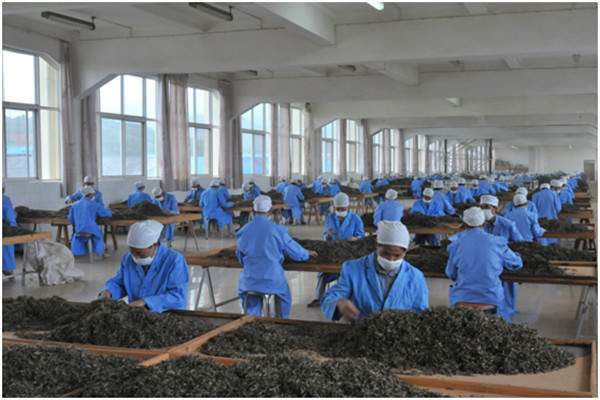 从方舟子普洱茶致癌事件说说茶行业要提高公共关系能力