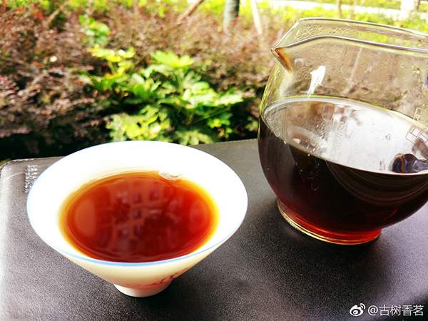 茶人微语录︱陈宗懋院士：普洱茶中黄曲霉素的含量问题