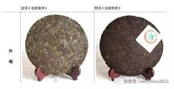 放心喝普洱茶：王岳飞教授描述普洱茶黄曲霉毒素致癌问题
