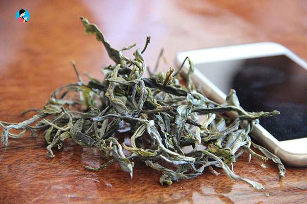 如何判断普洱茶大叶种和中小叶种？