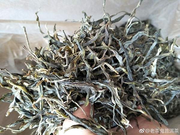 茶人微语录︱为什么广东人偏爱普洱茶？
