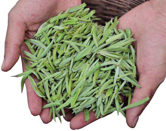 2016普洱茶三大产区春茶价格表罗列（二）