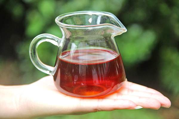 3分钟看懂普洱茶：熟茶风味竟然是这4种物质造的？