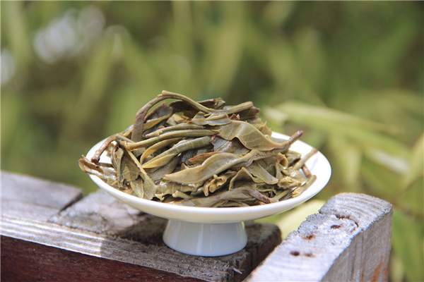 普洱茶的生茶为什么不是绿茶？