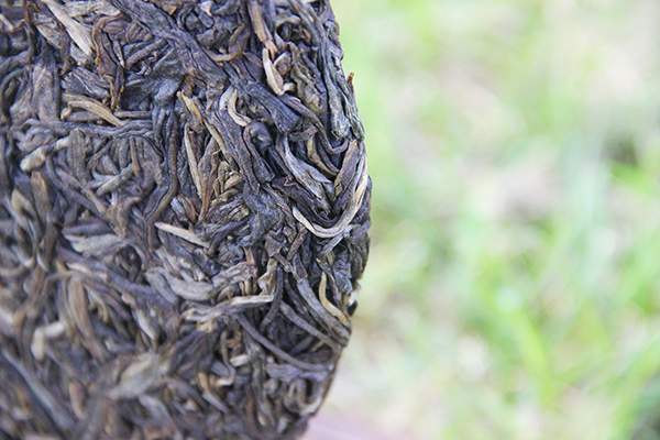 拥有三十多个普洱茶山头，这是古树茶整体质量第一的茶区