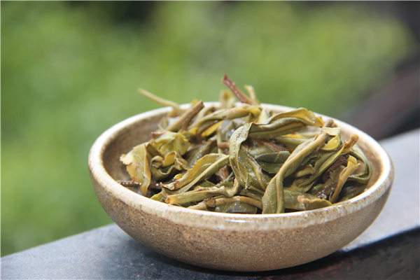 决定普洱茶生茶品质的几个主要因素（三）