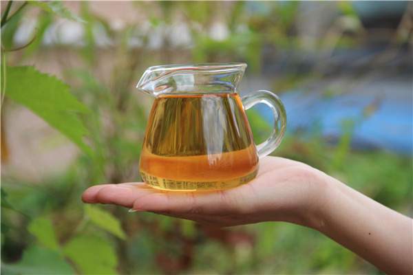 普洱茶有异味是什么原因？